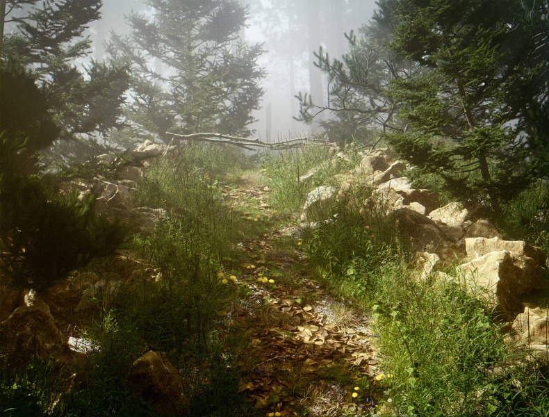 Rendered forest low hill