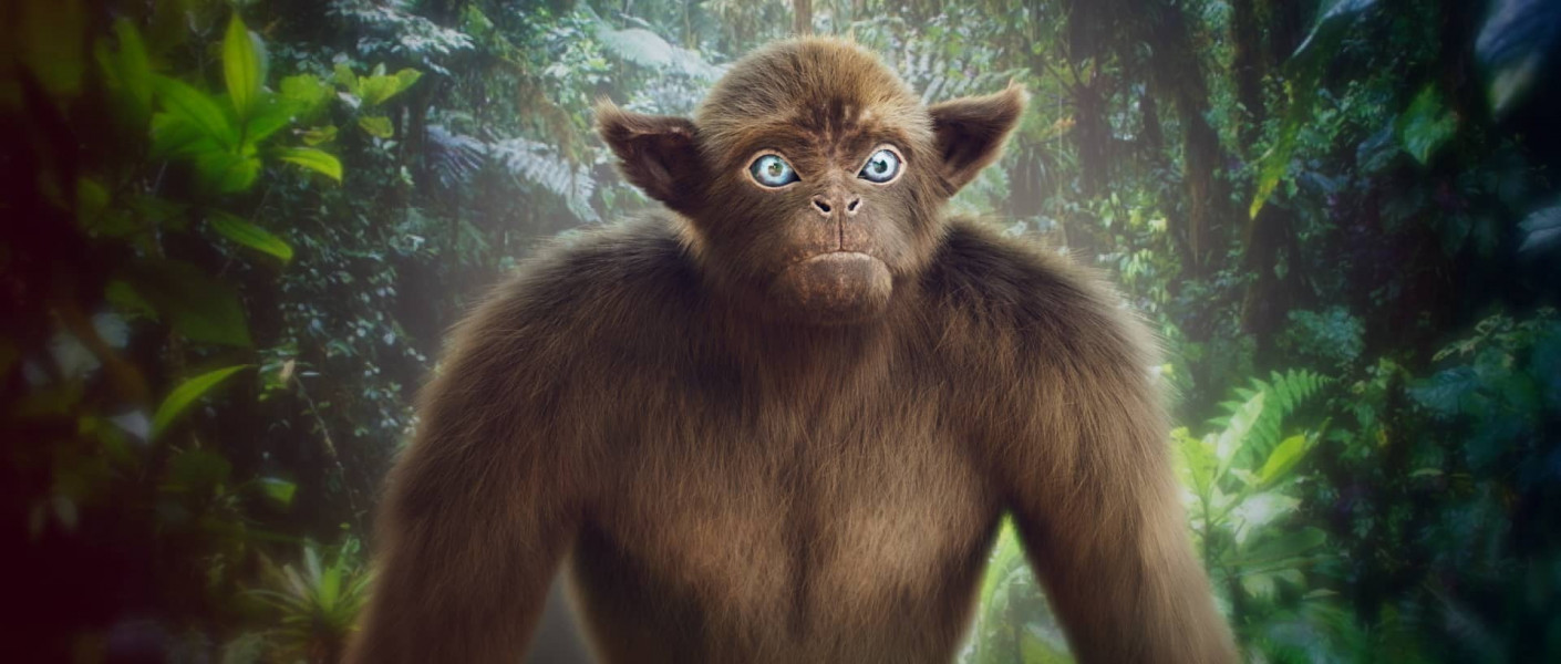 3d simia in the jungle