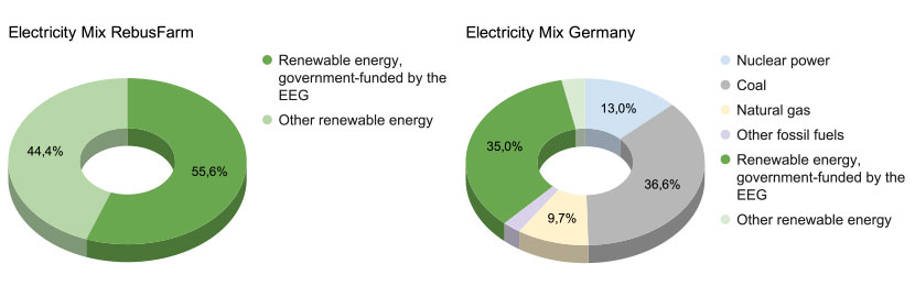 Diagramm des RebusFarm Strommix | Diagramm des Deutschland Strommix